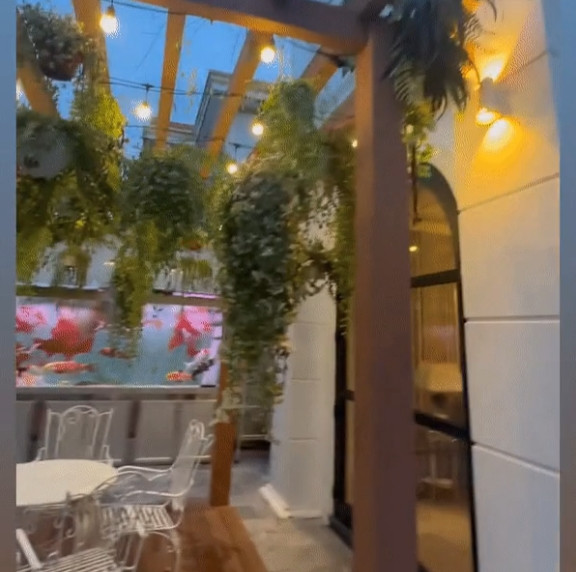 Lệ Quyên từng chia sẻ đây là góc nhỏ bình yên, trong veo nằm giữa thành phố mà cô rất yêu thích.