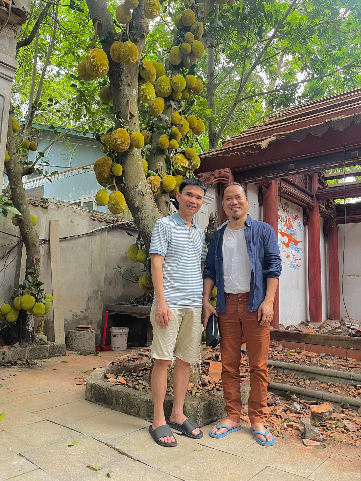 Vượng Râu tiết lộ trong phủ có 10 cây mít trĩu quả như thế này. Ảnh: FBNV