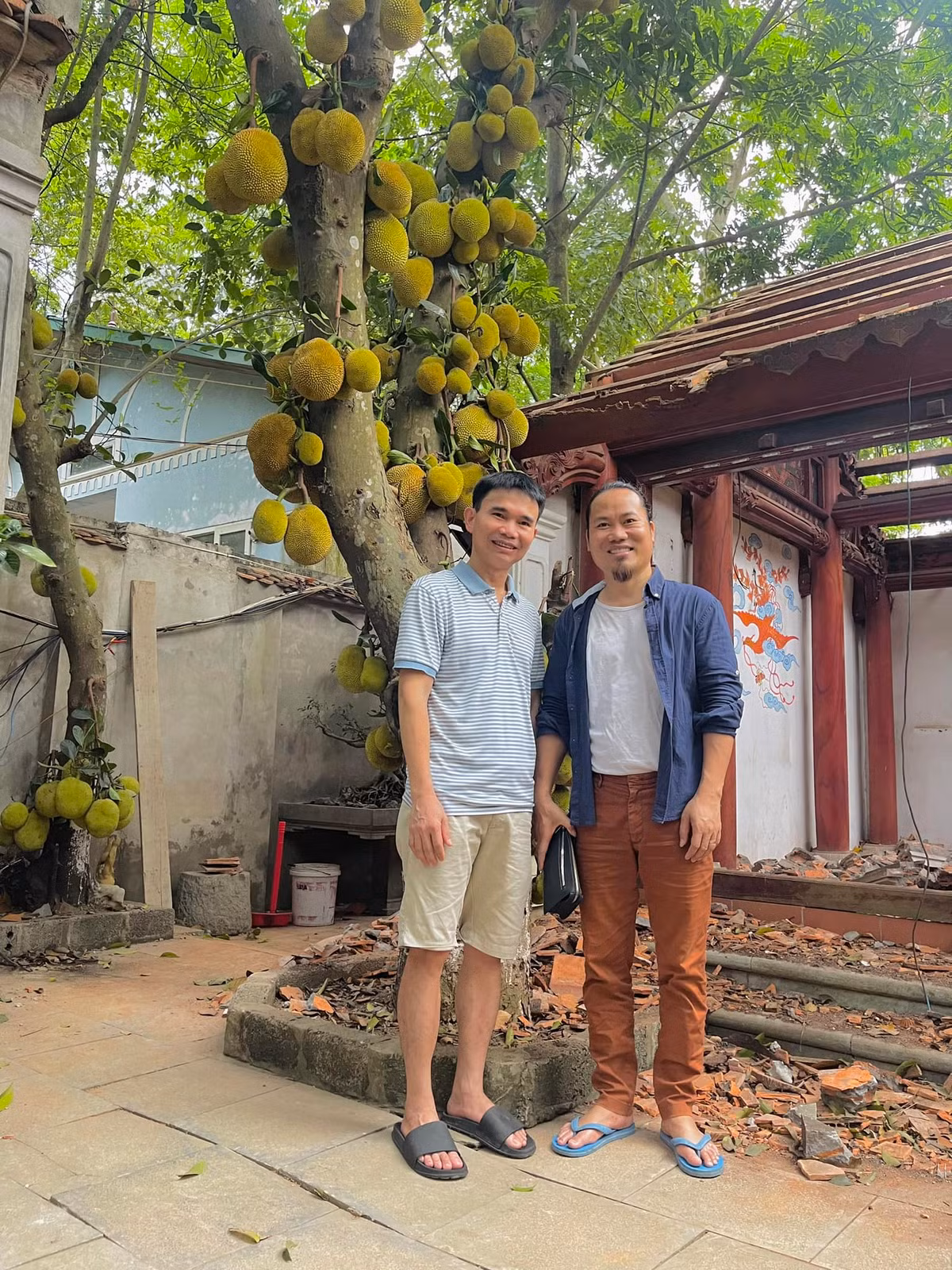 Vượng Râu tiết lộ trong phủ có 10 cây mít trĩu quả như thế này. Ảnh: FBNV