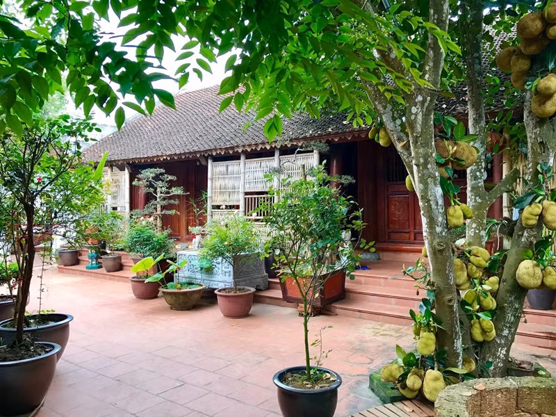 Không chỉ gây ấn tượng bởi không gian thờ trang nghiêm, căn nhà cổ của nghệ sĩ Vượng Râu còn sở hữu khuôn viên vô cùng rộng rãi với đầy đủ các loại cây trái xanh mướt. Ảnh: Dân trí