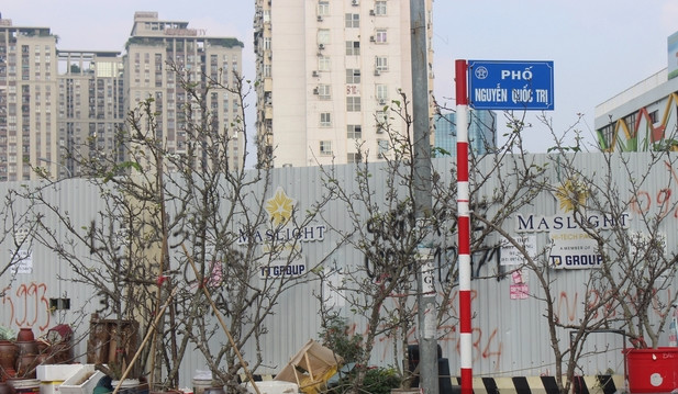 Mỗi cành hoa lê giá dao động từ vài trăm đến cả triệu đồng, tùy thuộc vào độ to nhỏ, dáng thế khác nhau. Ảnh: Dân Việt