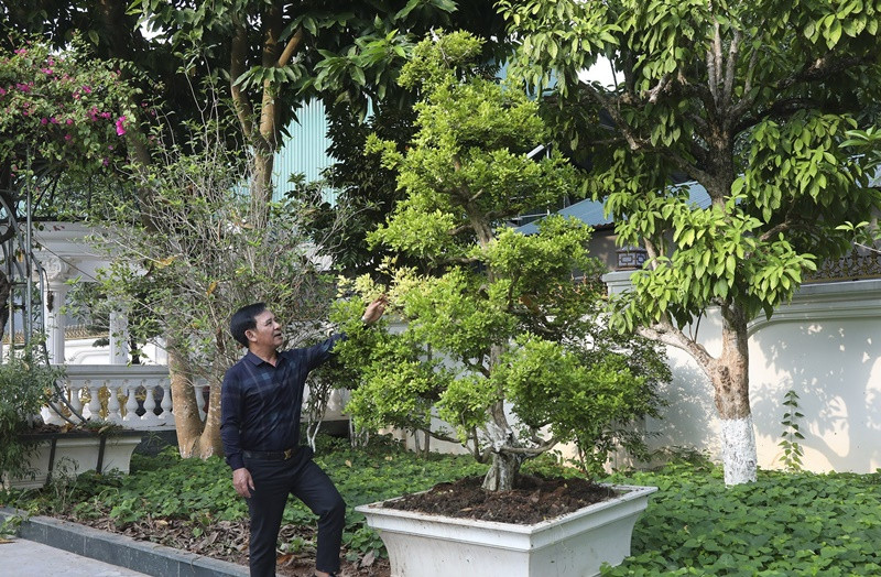 Căn nhà là thành quả sau mấy chục năm nghệ sĩ lao động vất vả, đi khắp mọi miền đất nước mang tiếng cười đến với khán giả. Ảnh: Dân trí