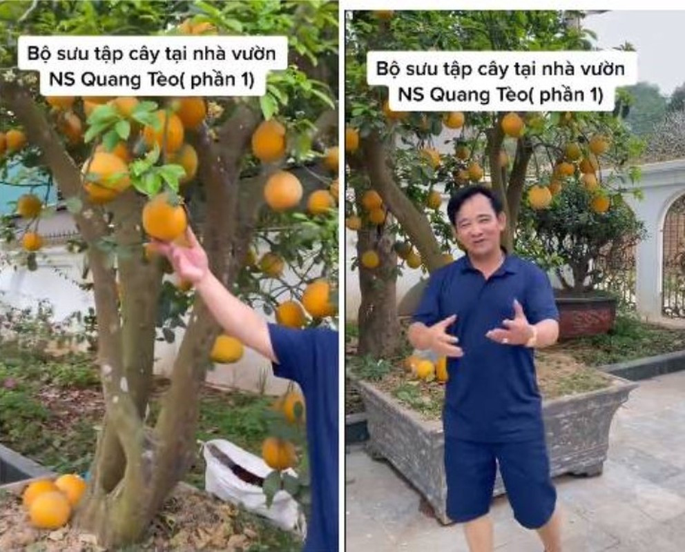 Trong vườn, nam nghệ sĩ còn trồng cây ăn quả. Ảnh chụp màn hình