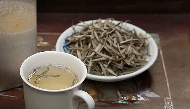 Theo ông Trần Ngọc Lâm - rgười phát hiện ra rừng chè cổ thụ Bạch Long tiết lộ, những cây chè này càng già càng thơm, lá trà nấu nước cả tiếng nước vẫn trong mà ngọt lừ nơi cuống họng. Ảnh: Baophapluat