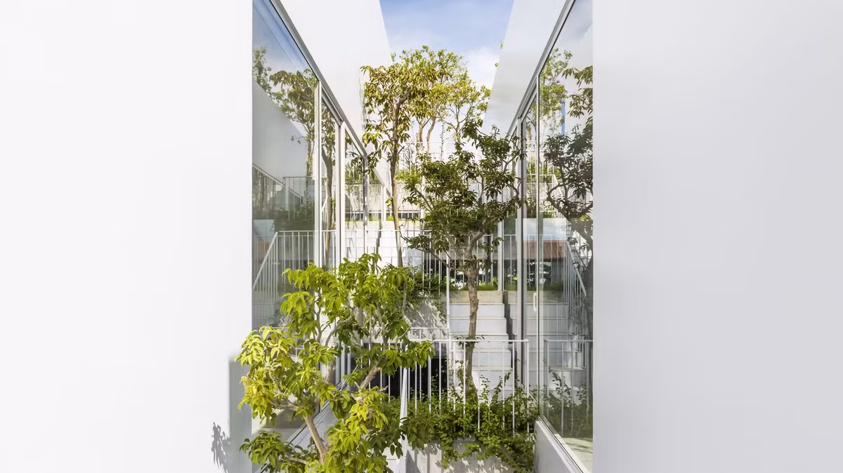 Bao My nuc no khen ngoi nha “cat lam doi” doc dao o Hue