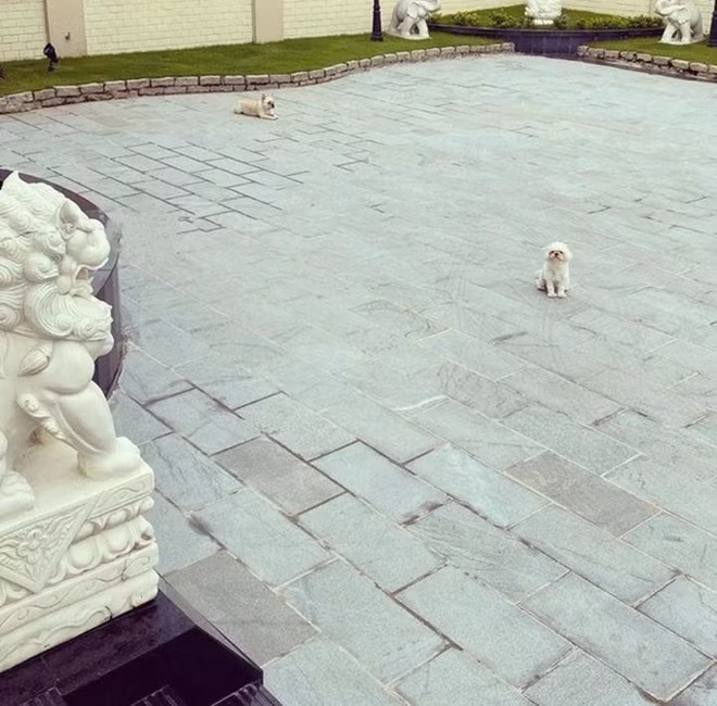 Căn biệt thự có diện tích khá lớn, bao quanh là tường gạch với nhiều bức tượng oai phong.