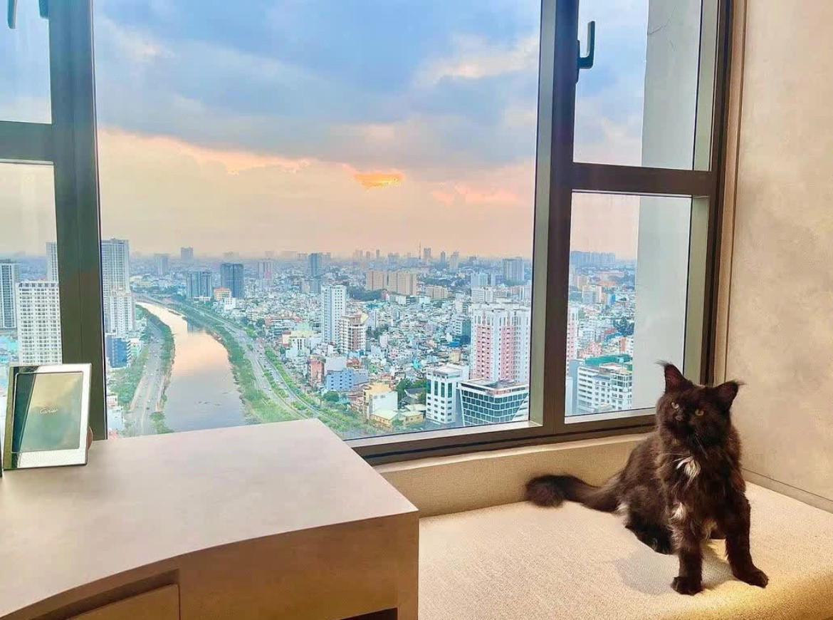 Hiện tại, Trấn Thành - Hari Won đang sống trong căn hộ thiết kế sang trọng như khách sạn 5 sao và có view bạc tỷ có thể ngắm nhìn được thành phố từ trên cao. Ảnh: FBNV