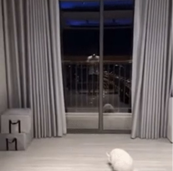 Nam MC còn mạnh tay chi thêm 5 tỷ để thiết kế nội thất theo ý thích. Ảnh chụp màn hình