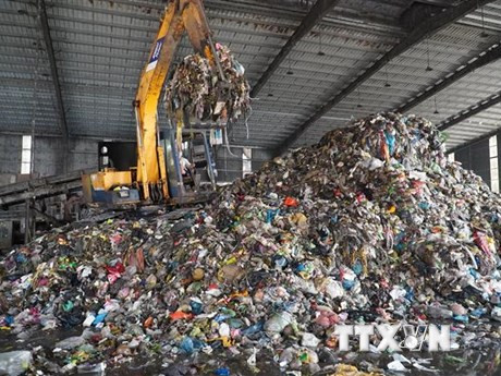 Khi mới thành lập, vốn điều lệ ban đầu của công ty là 7 tỷ đồng với hơn 15 cán bộ công nhân viên. Ảnh: TTXVN