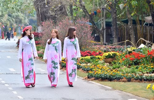 Cùng với Lễ hội hoa xuân là các chương trình biểu diễn nghệ thuật dân gian, đương đại đặc sắc được tổ chức.