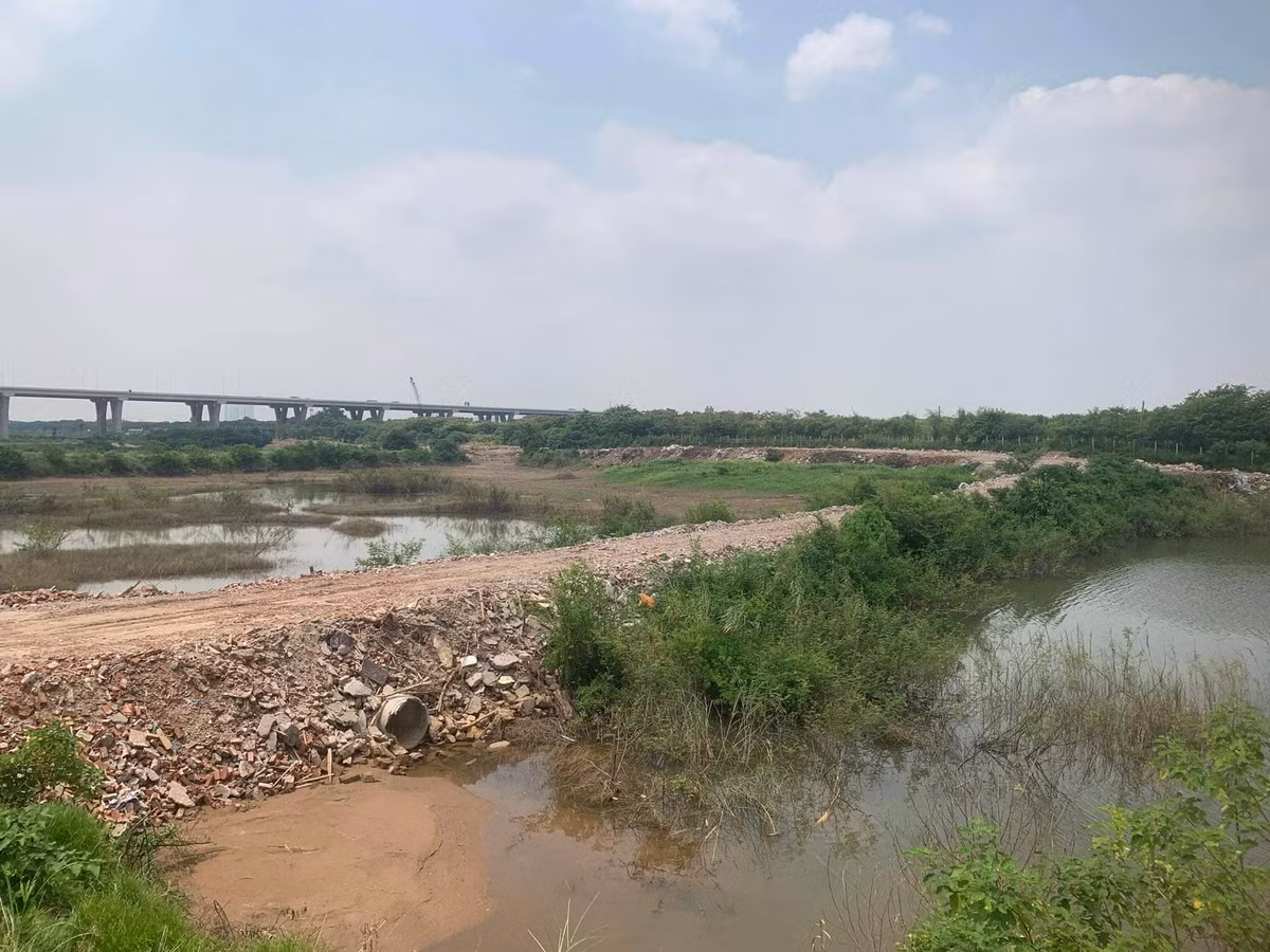 Trang tron do rac, phe thai xay dung tai bai song Hong-Hinh-5