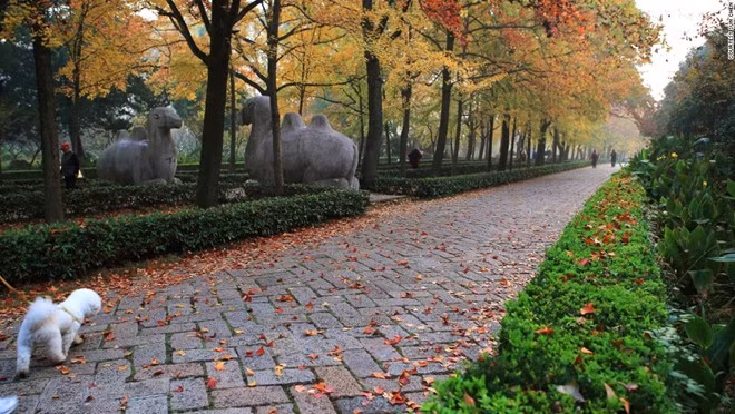 Đường Voi Đá trước cửa lăng Minh Thái Tổ có hàng cây tuyệt đẹp và các tượng điêu khắc độc đáo.