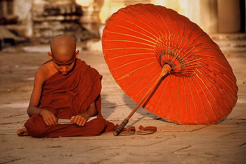 Tuoi tho cua chung sinh keo dai bao lau?