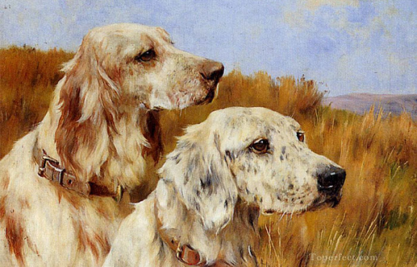 Những thuộc tuổi Tuất đều vô cùng năng động thích đi khắp nơi học tập những điều hay lẽ phải trong cuộc sống. 