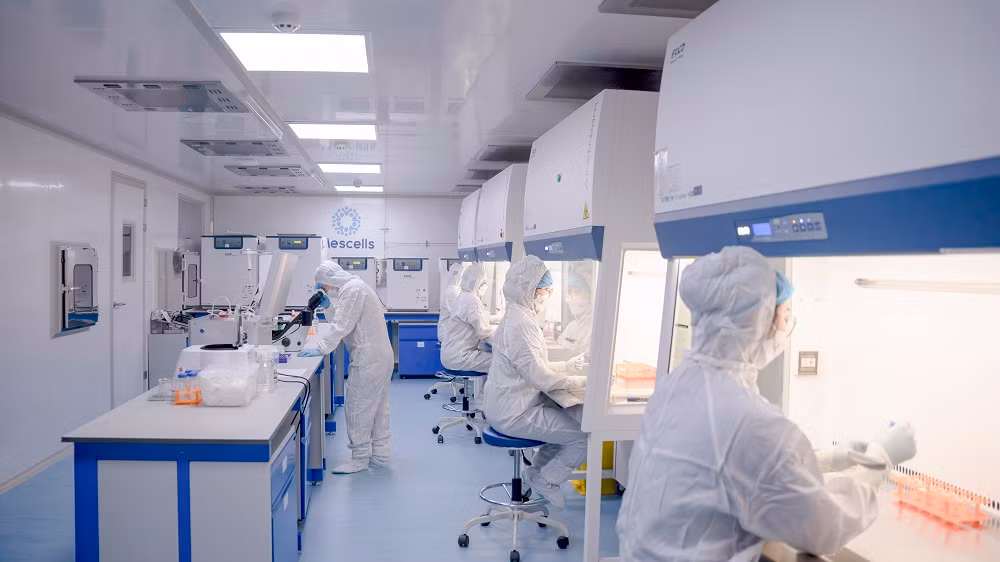 Ung dung te bao goc nang cao chat luong suc khoe cho nguoi dan