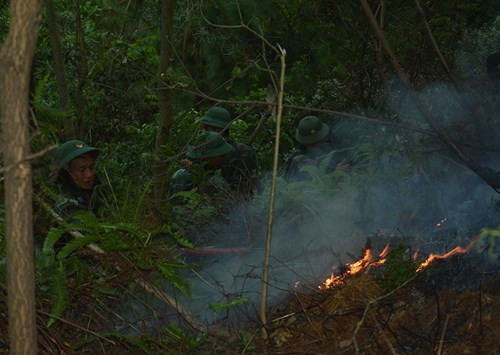 Cùng với làm tốt các nhiệm vụ theo chức năng, Lữ đoàn 86 còn là đội quân tinh nhuệ trong giúp nhân dân địa phương khắc phục hậu quả thiên tại, chữa cháy rừng. Năm 2016, Lữ đoàn 86 tham gia 16 đợt chữa cháy rừng ở các quy mô khác nhau.