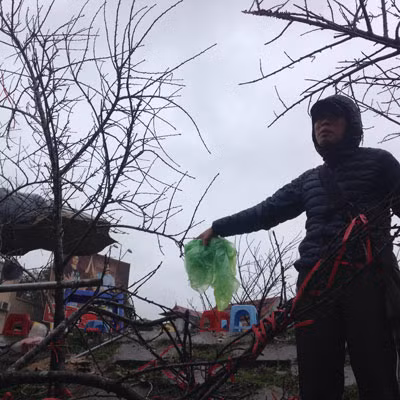 Ruoc dao rung ve thu do, dan buon dao da “het” gia khung