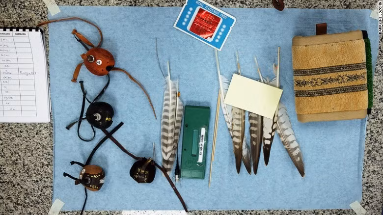 Bệnh viện chữa trị cho khoảng 11.500 con chim ưng mỗi năm, tăng 15-20%.