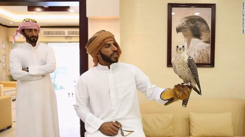 Chủ nhân của con chim đôi khi chờ hàng tiếng trong lúc chúng được phẫu thuật. Theo bà Müller, khi chủ đến thăm, con chim nhận ra người đó và sẽ cố kêu lên hoặc dịch chuyển. Giữa chủ và chim có sự gắn kết mạnh mẽ.