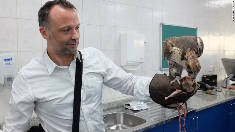 Du khách được xem quá trình điều trị hay phẫu thuật. Nếu may mắn, bạn sẽ được cho chúng ăn.