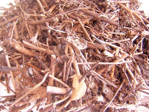 Ngoài ra cũng có thể kết hợp quả sung với một số vị thuốc khác để trị sỏi mật như sau: Quả sung khô 50gr, nhân trần 10gr, hoa actisô 10gr, lá vọng cách 10gr, diệp hạ châu 8gr, râu ngô 8gr, kê nội kim (màng mề gà) 10gr, nghệ vàng 12gr, bạch truật 12rg, đảng sâm 20gr, thổ phục linh 10gr, cam thảo 8gr.