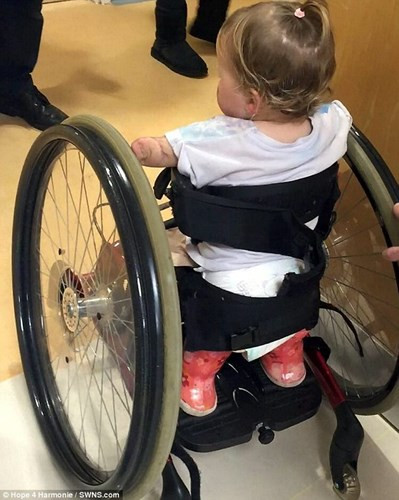 Bé Harmonie đã tròn 2 tuổi. Điều bất ngờ là bé đã có thể tự di chuyển nhờ một chiếc xe lăn cải tiến.