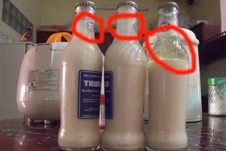 Ta hoa sua dau nanh Tribeco von cuc, vang moc nhu “com bua“-Hinh-2