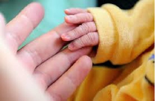 Kết quả giám định ADN cho thấy người đàn ông bị kiện là cha của một trong hai đứa trẻ sinh đôi nhưng... không phải cha đứa còn lại. Trước phiên tòa, người phụ nữ đành thú nhận có quan hệ với cả 2 người đàn ông trong khoảng thời gian độ 1 tuần.