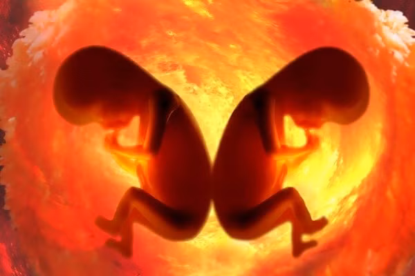 Các chuyên gia cho rằng bình thường, người phụ nữ sản sinh một quả trứng trong quá trình rụng trứng. Nhưng trong trường hợp hiếm, cơ thể họ có thể sản sinh hai quả. Như vậy, nếu trong thời kỳ trứng rụng, phụ nữ quan hệ với hai người đàn ông thì cặp song sinh có thể là hai trẻ cùng mẹ khác cha. Tuy nhiên, trường hợp song sinh khác cha rất hiếm, chỉ xảy ra với tỷ lệ một trên một triệu ca.