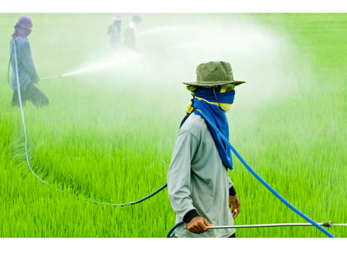 Thuốc trừ sâu Organophosphate. Đây là một trong những loại thuốc trừ sâu phổ biến nhất trong nông nghiệp. Chúng có nhiều trong các loại rau quả và có thể gây nguy hiểm cho sức khỏe, nhất là sức khỏe trẻ em.