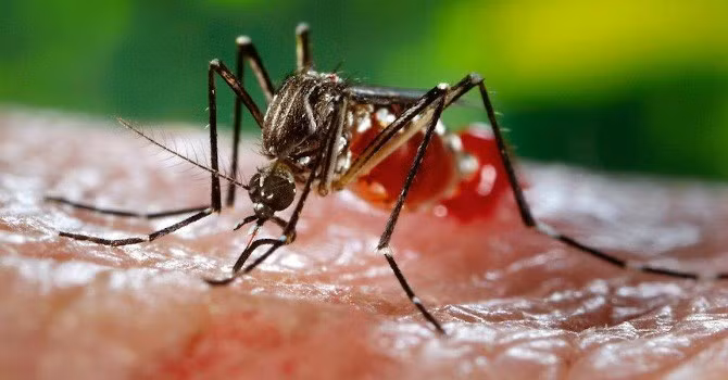 Bac thong tin 4 nguoi o Khanh Hoa nhiem virus Zika