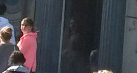 Bức ảnh mà Thomas chụp lại