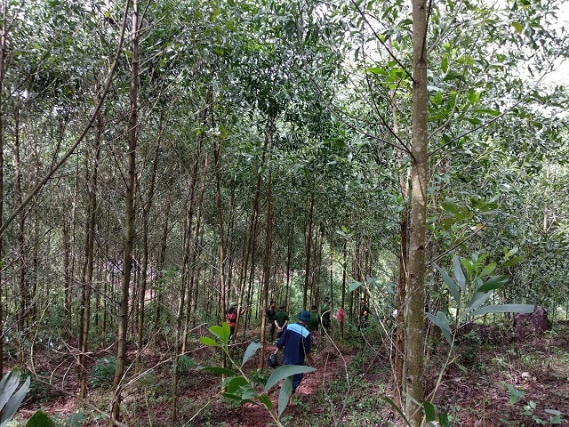 Chia sẻ với PLO, ông Nguyễn Văn Lan (48 tuổi, trú làng Dừa) và nhiều người dân nơi đây cho biết thấy máy bay bay trên trời có khói đen từ phía sau rồi nghe tiếng nổ lớn. Khi nghe tiếng nổ người dân nghĩ rằng có lẽ máy bay diễn tập ném bom nhưng sau đó phát hiện khói, lửa bốc lên từ vách núi nên mới biết máy bay rơi. Nguồn ảnh: Báo Giao Thông