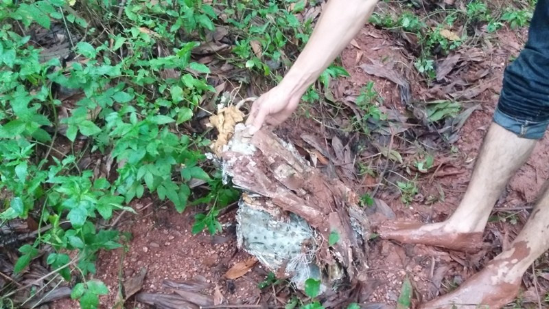 Theo các nguồn tin, do rơi ở trên cao nên chiếc máy bay quân sự Su-22 vỡ làm nhiều mảnh, có những phần văng hàng trăm mét. Nguồn ảnh: Người Đưa Tin