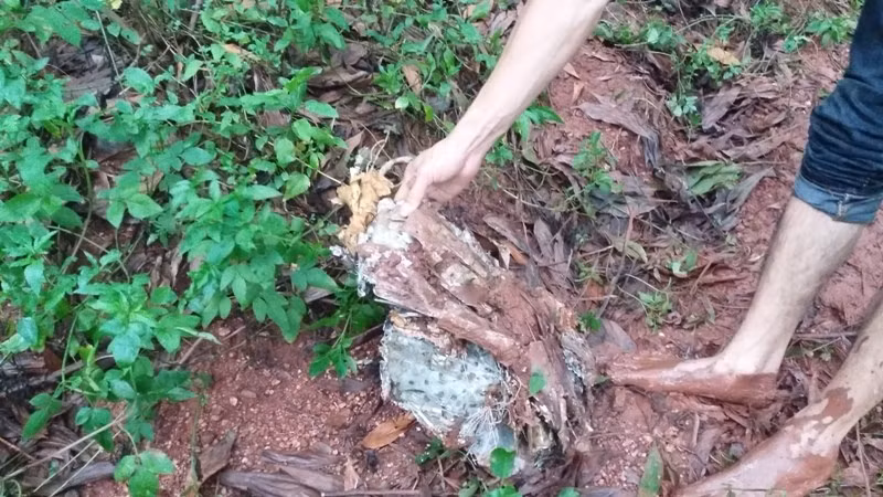 Theo các nguồn tin, do rơi ở trên cao nên chiếc máy bay quân sự Su-22 vỡ làm nhiều mảnh, có những phần văng hàng trăm mét. Nguồn ảnh: Người Đưa Tin