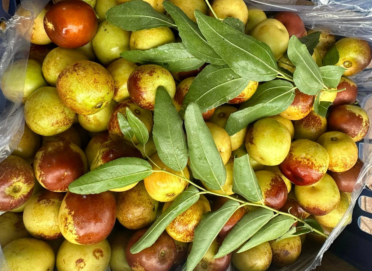 Hồng táo Trung Quốc được bán la liệt khắp chợ Việt. Ảnh: NVCC