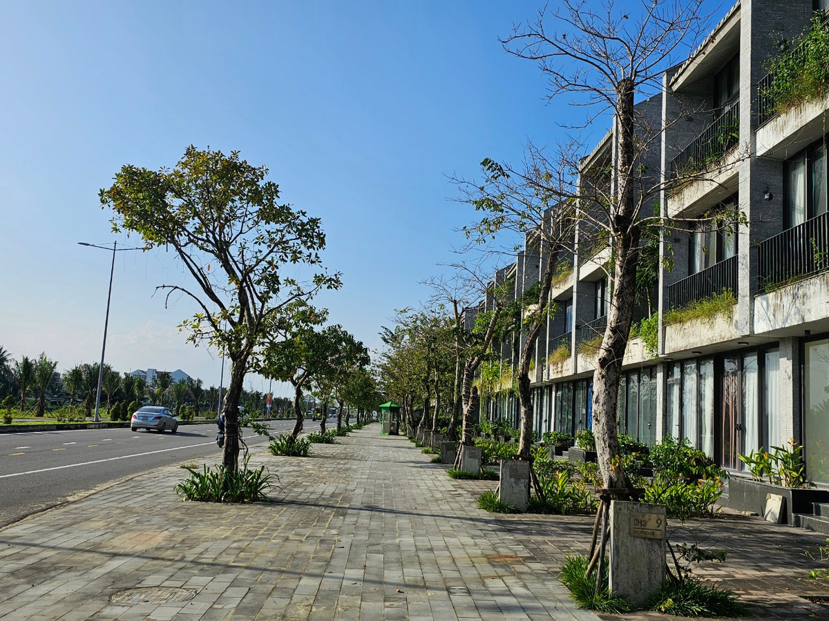 Loạt shophouse tọa lạc ở vị trí đắc địa bên cạnh Rừng dừa Bảy Mẫu - một địa điểm du lịch nổi tiếng ở thành phố Hội An, tỉnh Quảng Nam.