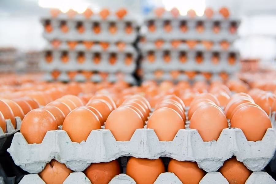 Chinh sach kinh te noi bat co hieu luc tu thang 2/2024