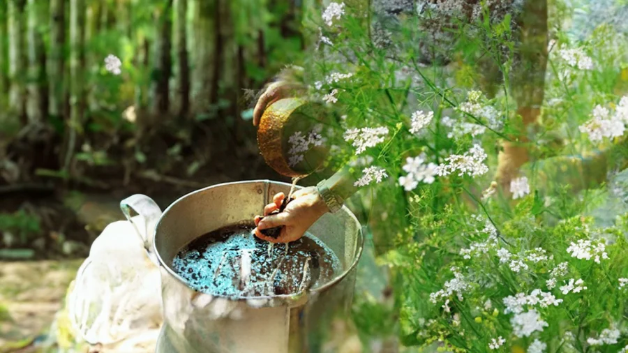 2 loai nuoc tam duoi van xui, ruoc tai loc, nam moi hanh thong-Hinh-2