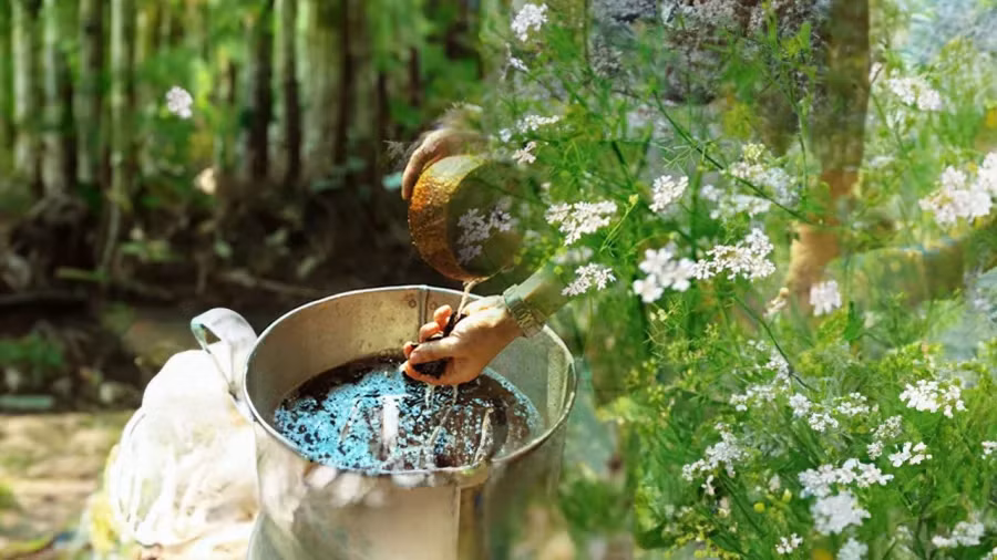 2 loai nuoc tam duoi van xui, ruoc tai loc, nam moi hanh thong-Hinh-2