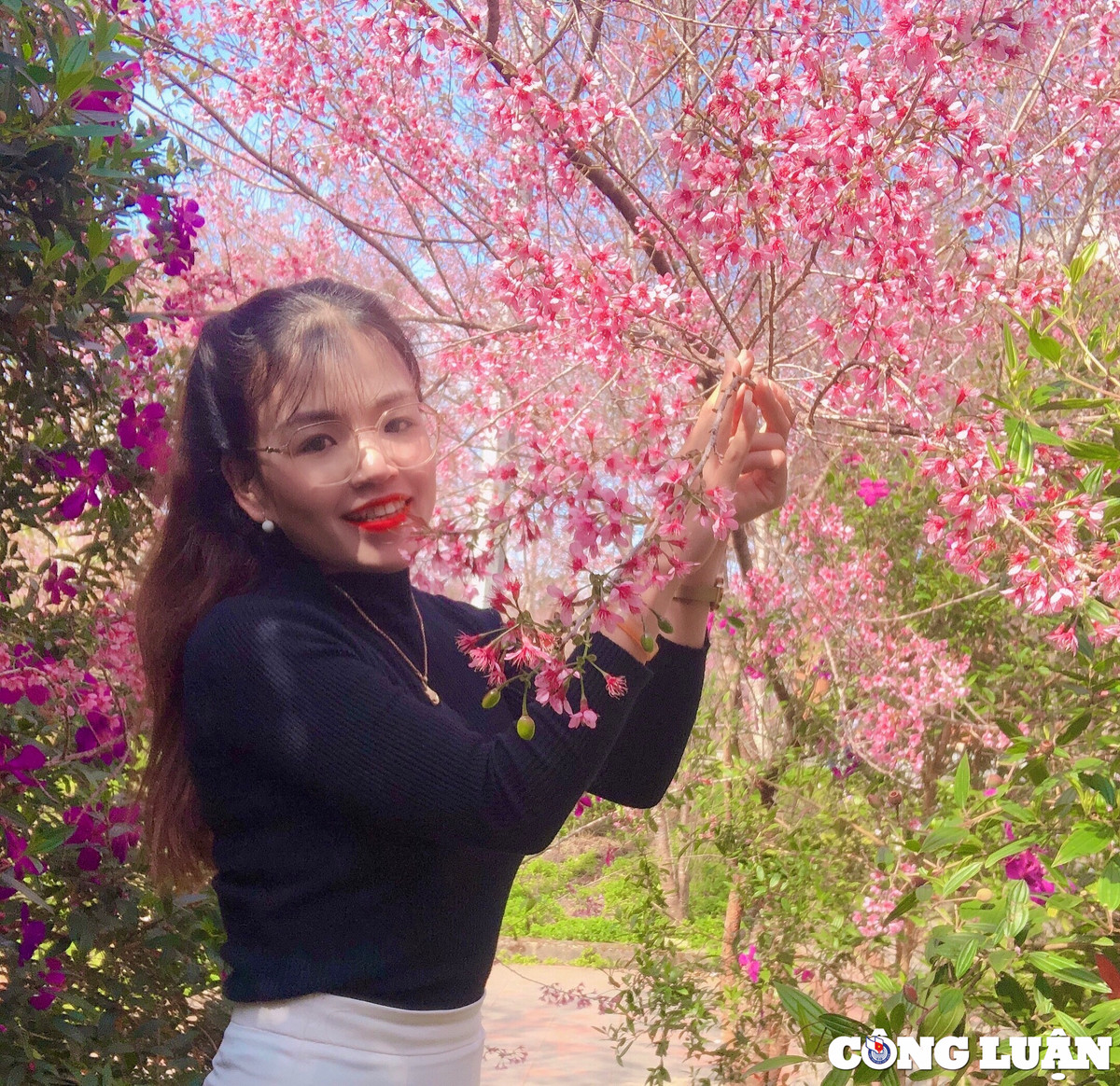 Còn em Hoàng Lan Anh (đến từ TP Pleiku, Gia Lai) chia sẻ: “Dường như năm nào em cũng đến với Măng Đen để chekin và thưởng thức vẻ đẹp rực rỡ và yêu kiều của hoa mai anh đào. Năm nay em thấy hoa nở muộn hơn so với mọi năm, tuy nhiên thời điểm này hoa đã bung nở gần hết chỉ còn lác đác một vài cây. Vì hoa chỉ nở rộ trong khoảng 20 ngày nên bạn nào muốn thưởng thức, muốn đắm mình trong sắc hoa trọn vẹn nhất nên nhanh chóng thu xếp thời gian đến với Măng Đen ạ”.