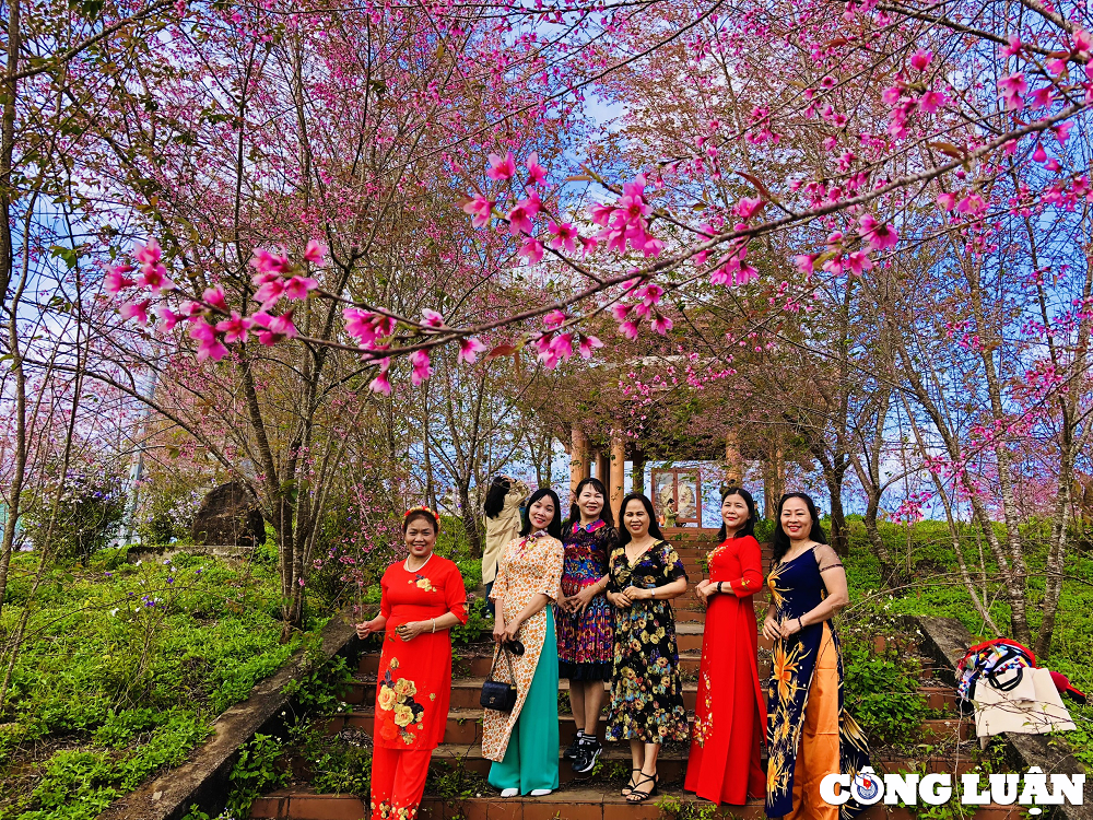 Nằm ở độ cao hơn 1.000m so với mực nước biển, thị trấn Măng Đen, huyện Kon Plông (Kon Tum) sở hữu khí hậu mát mẻ, ôn hoà với 4 mùa trong ngày cùng tài nguyên thiên nhiên vô cùng phong phú. Là vùng đất mang vẻ đẹp hoang sơ và thuần khiết, từ lâu Măng Đen đã nổi bật giữa Tây Nguyên đại ngàn.