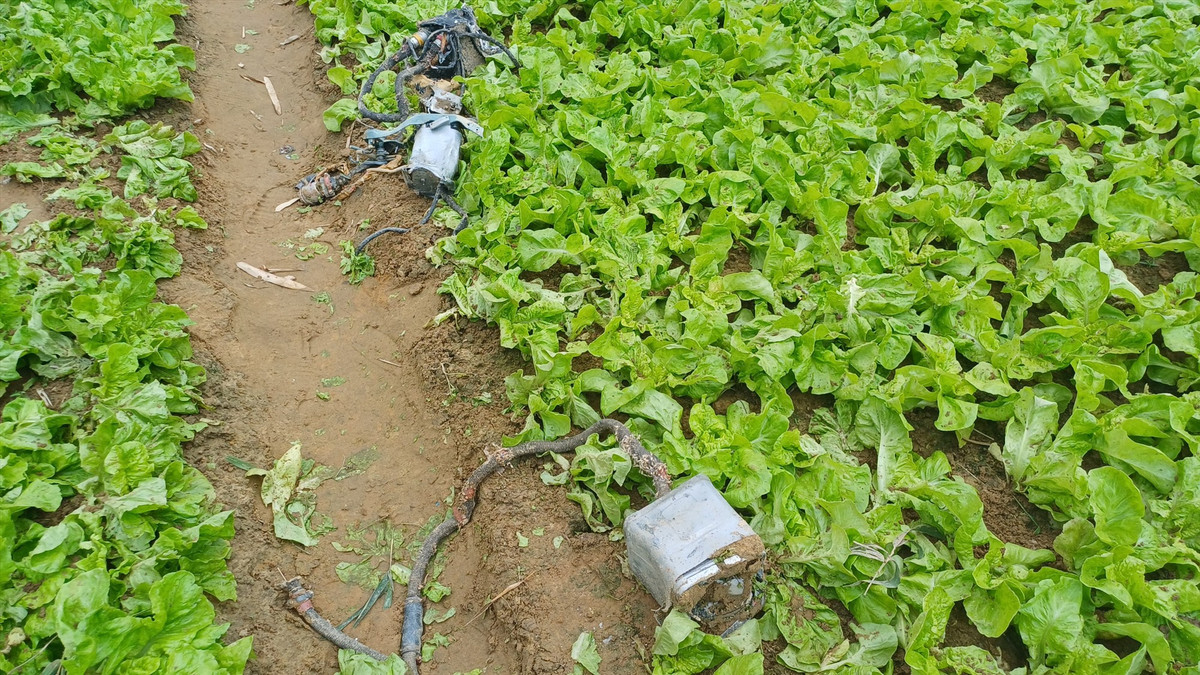 Các mảnh vỡ của máy bay rơi xuống ruộng hoa màu của người dân.