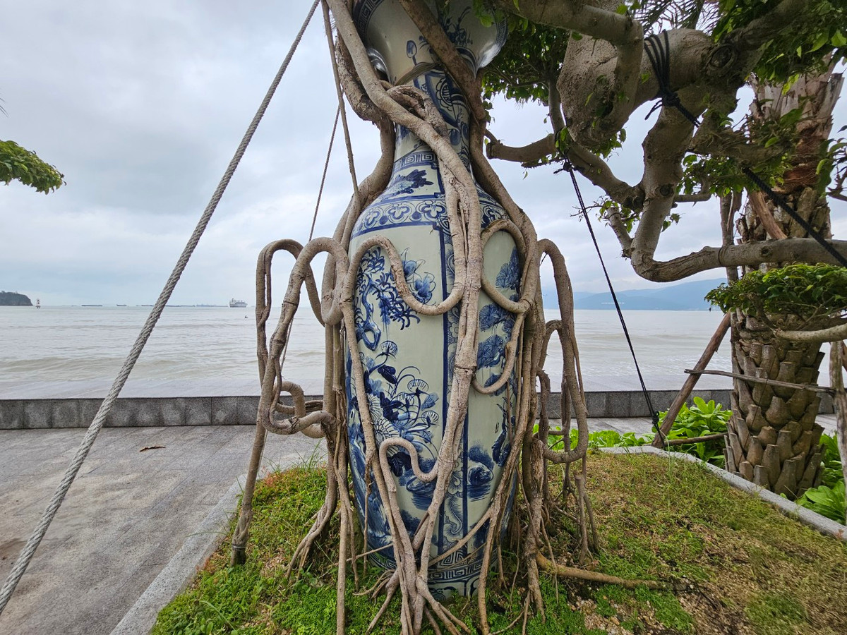 Bộ rễ uốn lượn toát lên vẻ đẹp độc đáo.