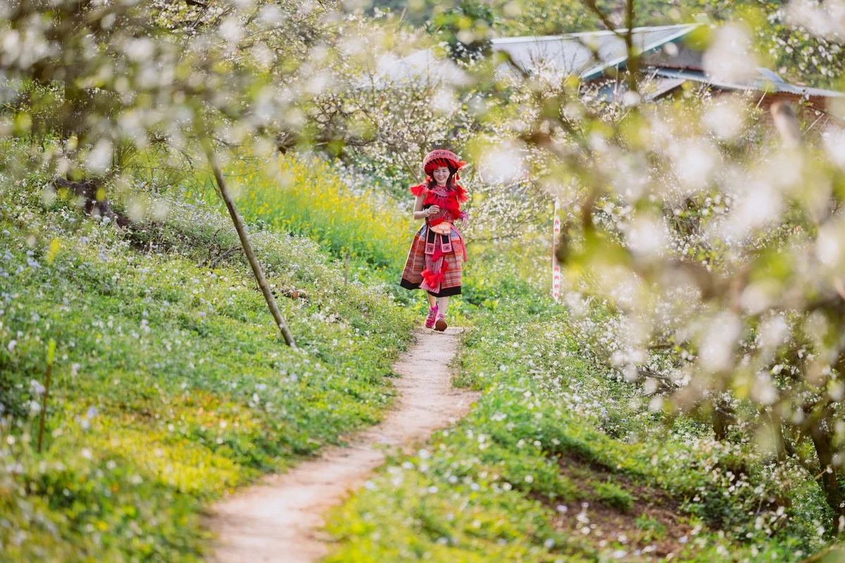 Là một runner say đắm sắc hoa mận, Thanh Mai (ngụ quận Ba Đình, Hà Nội) đã không bỏ lỡ giải chạy Vietnam Trail Marathon (VTM) trong suốt 3 năm qua. "Đây là cung đường chạy tôi thích nhất. Năm nay hoa nở rộ, cảm giác chạy giữa rừng hoa khiến tôi rất vui và thích thú, thấy mình như Alice lạc trong xứ sở thần tiên", chị Mai chia sẻ.