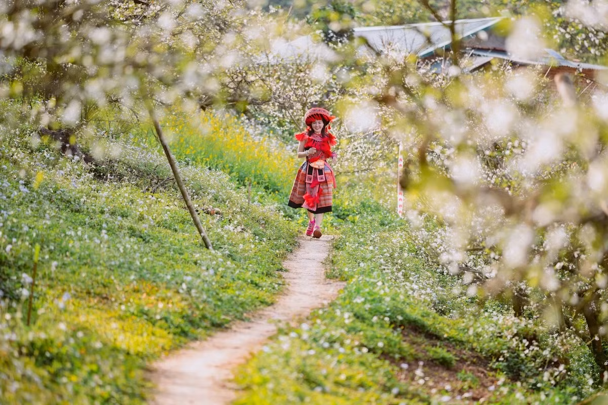 Là một runner say đắm sắc hoa mận, Thanh Mai (ngụ quận Ba Đình, Hà Nội) đã không bỏ lỡ giải chạy Vietnam Trail Marathon (VTM) trong suốt 3 năm qua. "Đây là cung đường chạy tôi thích nhất. Năm nay hoa nở rộ, cảm giác chạy giữa rừng hoa khiến tôi rất vui và thích thú, thấy mình như Alice lạc trong xứ sở thần tiên", chị Mai chia sẻ.