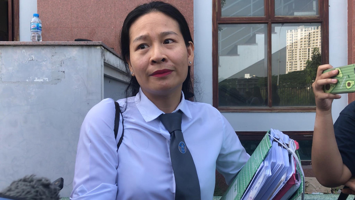 Ba Thao yeu cau xu cong khai, ong Vu lai de nghi xu kin: HDXX quyet dinh the nao?-Hinh-2