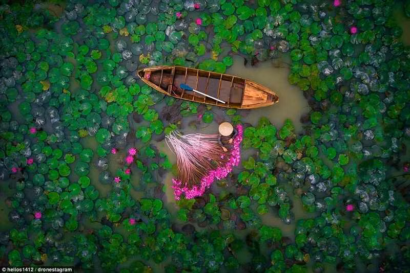 Tuổi Dần: Người tuổi Dần vốn nóng tính, ít biết kiềm chế cảm xúc. Trong ngày 8/3, do bị vận đào hoa xấu đeo bám, chuyện tình cảm gặp nhiều trắc trở nên con giáp này cần tránh kích động quá mức, nên tiết chế tình cảm. Ảnh: 24h.com.vn.