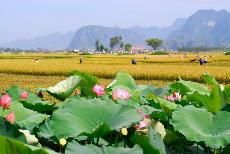 Tuổi Thân: Người tuổi Thân cần chú ý nên tránh tiêu pha hoang phí trong ngày 8/3 bởi thời gian gần đây nguồn thu nhập có phần giảm sút. Ảnh: matnauhoctro.com. 