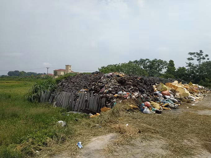 Rac thai doc hai bua vay ruong dong tai Vinh Phuc-Hinh-2